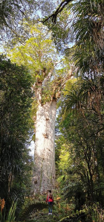 Kerikeri Sunny Modern 2 Bedroom Apartments エクステリア 写真